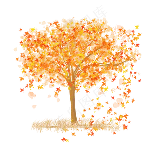 立秋秋天落叶可商用元素