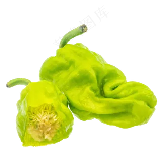绿色蔬菜辣椒