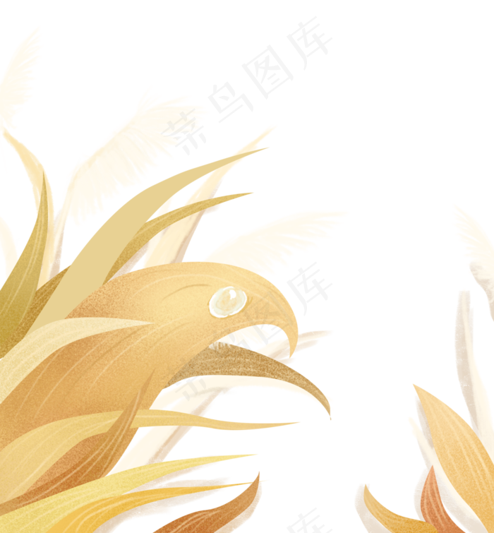 白露寒露芦苇秋天秋季(3545X3827(DPI:300))psd模版下载