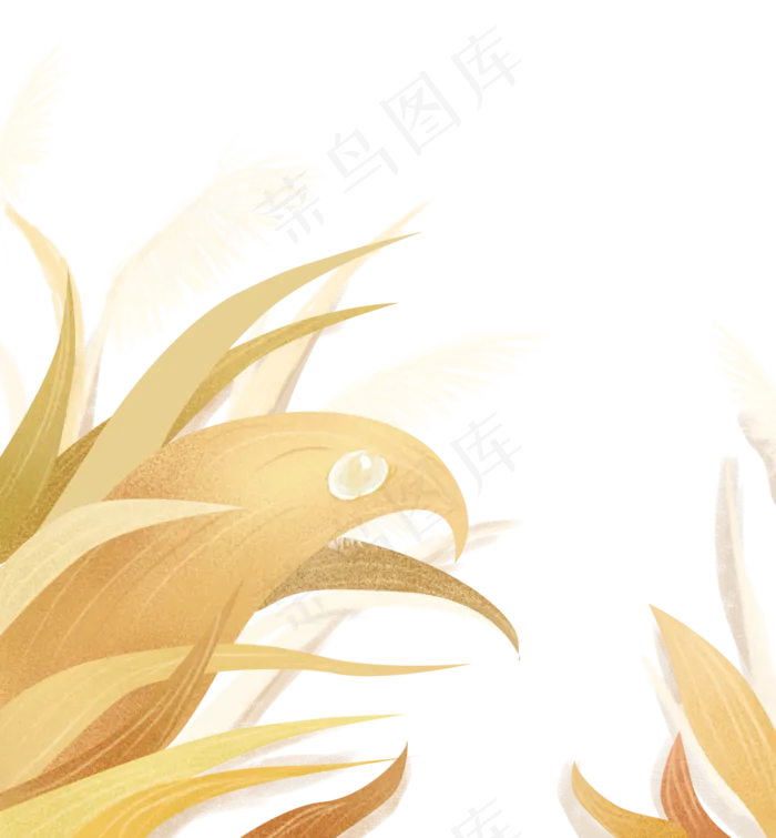 白露寒露芦苇秋天秋季(3545X3827(DPI:300))psd模版下载