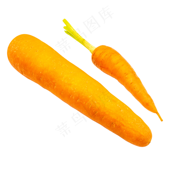 蔬菜萝卜(3000*3000px 300 dpi )