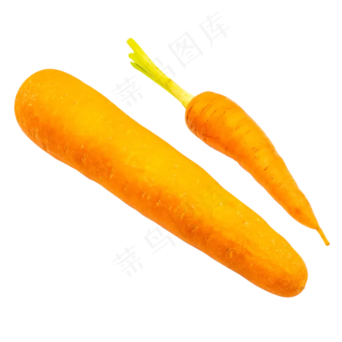 蔬菜萝卜(3000*3000px 300 dpi )