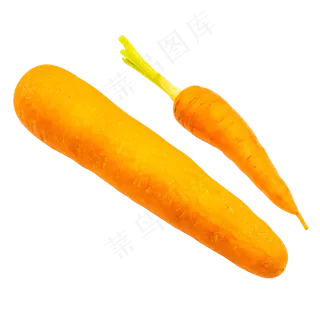 蔬菜萝卜