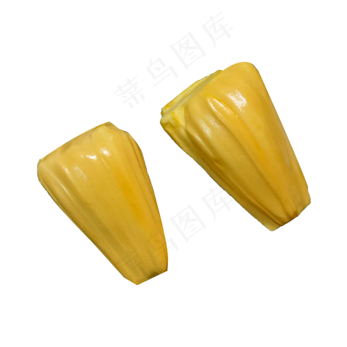 两个新鲜菠萝蜜(2000X2000(DPI:300))psd模版下载