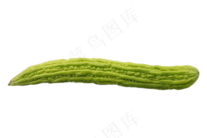 绿色蔬菜苦瓜(2500X2500(DPI:300))