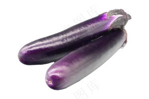 紫色茄子蔬菜