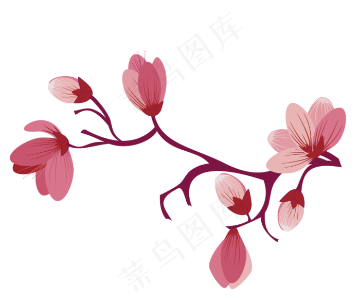 樱花开花植物免扣png 