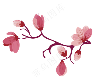 樱花开花植物免扣png 