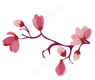 樱花开花植物免扣png 