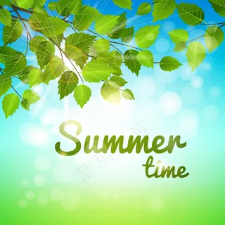 夏季的背景是悬在树枝上的新鲜绿叶和炎热的阳光 夏季的背景是悬在树枝上的新鲜绿叶和炎热的阳光
