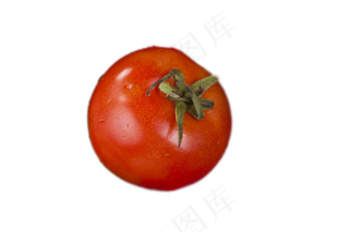 营养丰富的西红柿