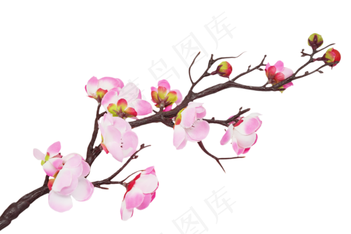 花朵花卉梅花(2000X2411(DPI:300))