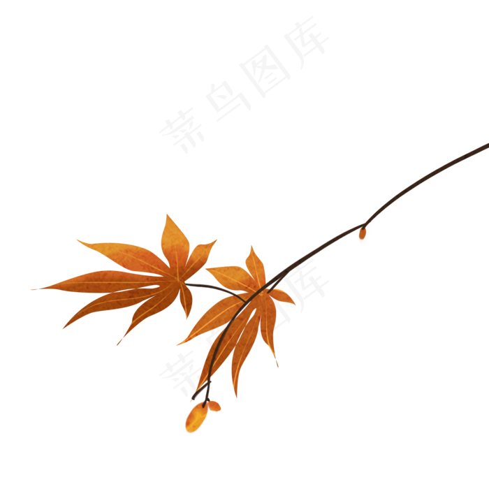 花枝花草黄色秋天(2000X2000(DPI:300))psd模版下载