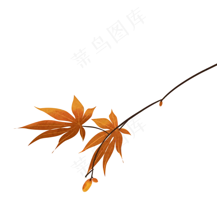 花枝花草黄色秋天(2000X2000(DPI:300))psd模版下载
