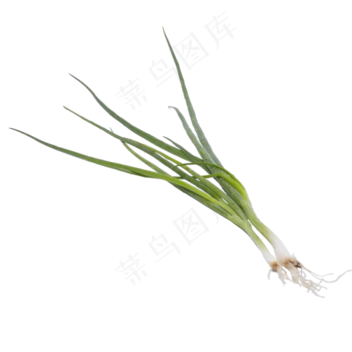 大葱蔬菜食物实拍(4724X4724(DPI:300))