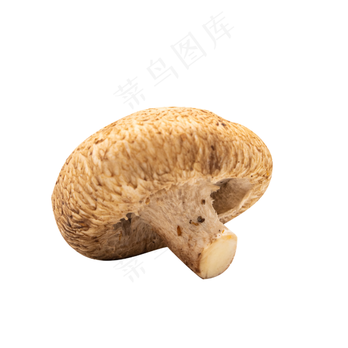 好吃食材香菇(2000X2000(DPI:300))