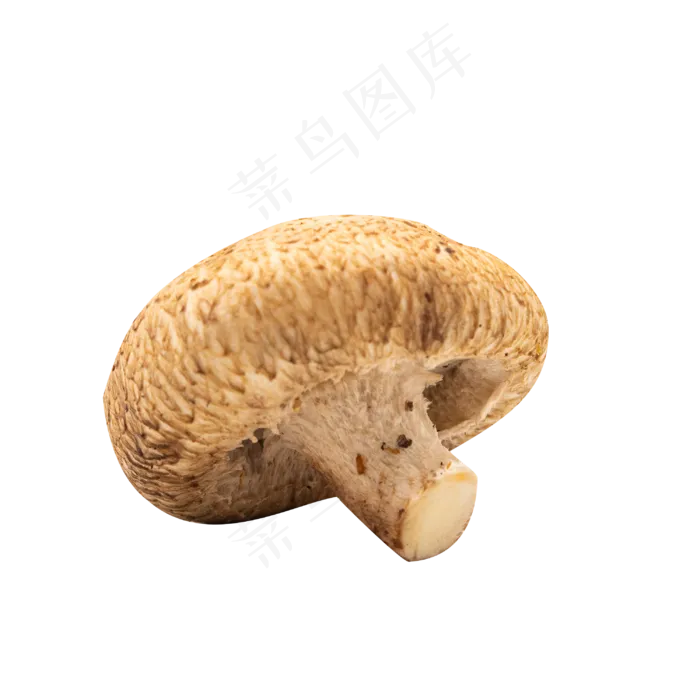 好吃食材香菇(2000X2000(DPI:300))