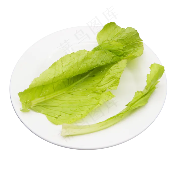 绿色蔬菜生菜(2500X2500(DPI:300))