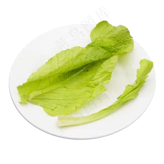 绿色蔬菜生菜