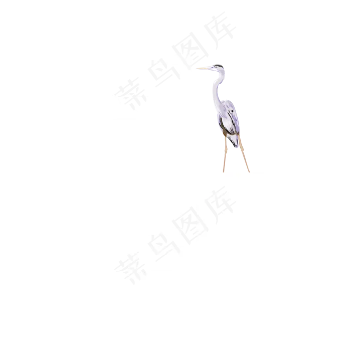 矢量白色卡通白露装饰字体菜鸟图库原创ai矢量模版下载