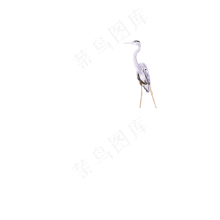 矢量白色卡通白露装饰字体菜鸟图库原创