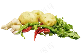 餐饮食材蔬菜