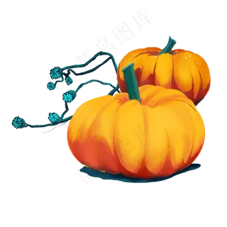 秋天暖色调植物南瓜