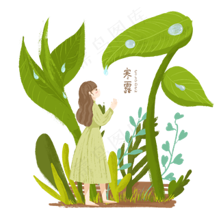 寒露节气女孩和露水