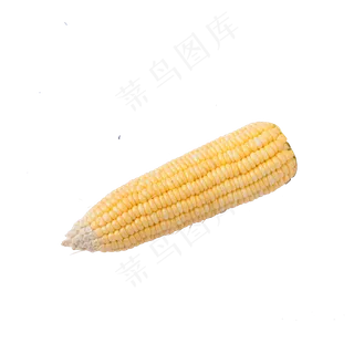 黄色的玉米免抠图