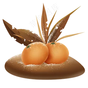 降霜的橘子和枯草