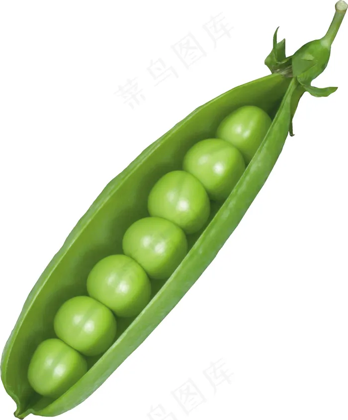 豌豆 甜豆psd模版下载