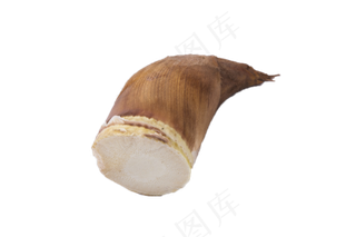 天然食材营养竹笋