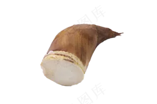 天然食材营养竹笋