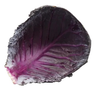 餐饮食材蔬菜紫甘蓝