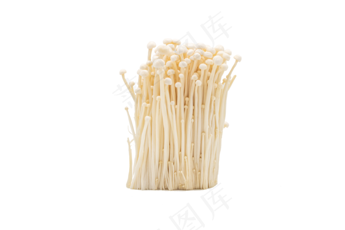 金针菇蔬菜(6000*4000px 300 dpi )