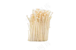 金针菇蔬菜