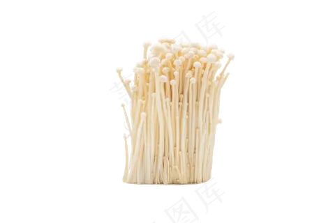 金针菇蔬菜 金针菇蔬菜