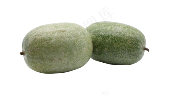 绿色椭圆冬瓜