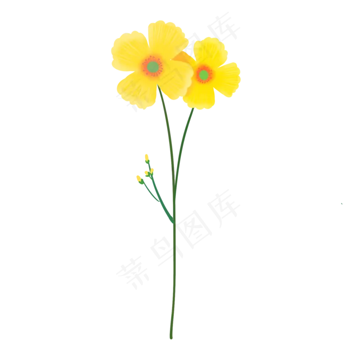 手绘春天植物黄色小花,免抠元素
