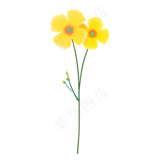 手绘春天植物黄色小花,免抠元素 手绘春天植物黄色小花,免抠元素
