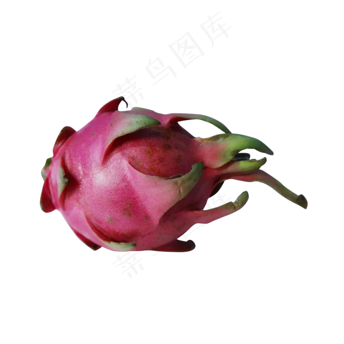 火龙果水果(2000X2000(DPI:300))