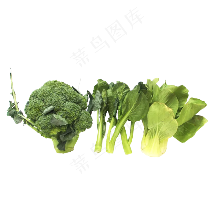 绿色蔬菜组合(2000X2000(DPI:300))