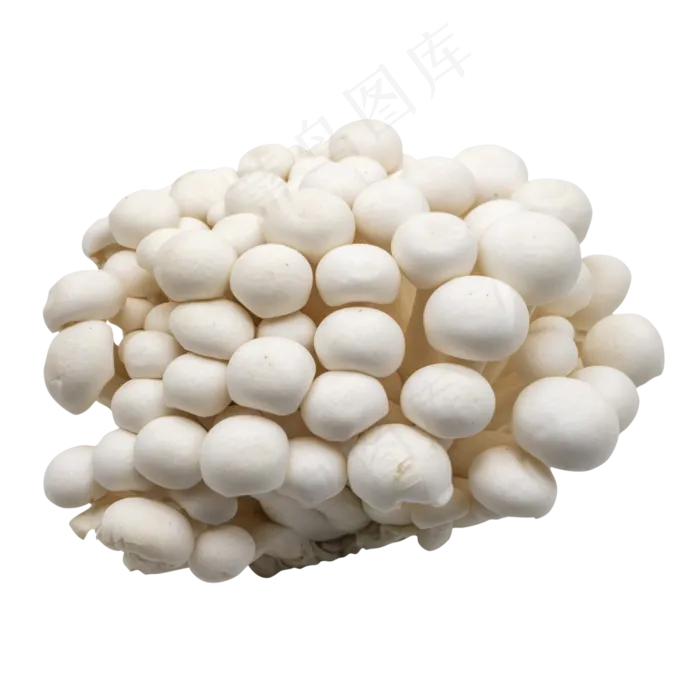 白色蔬菜蘑菇(2000X2000(DPI:300))