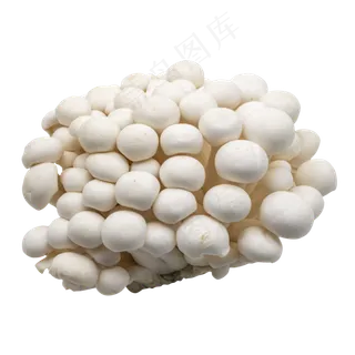 白色蔬菜蘑菇