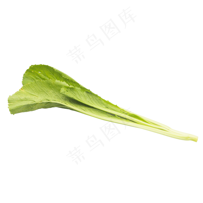 绿色有机蔬菜白菜(2480X2303(DPI:300))