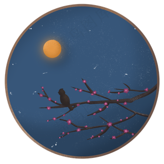 冬天冬季植物梅花腊梅夜晚