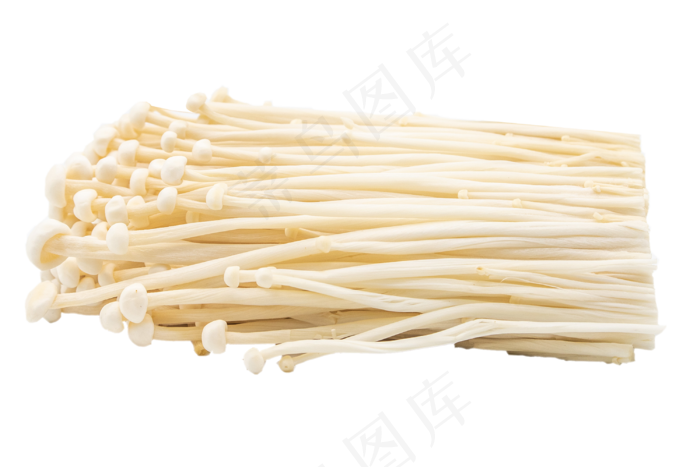 新鲜金针菇装饰(3000*2000px 300 dpi )