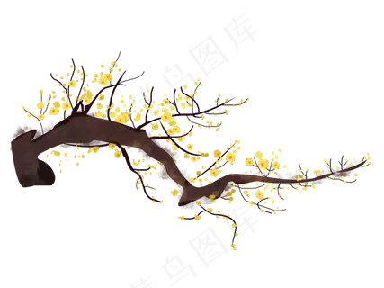 腊梅工笔画png下载