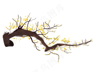 腊梅工笔画png下载