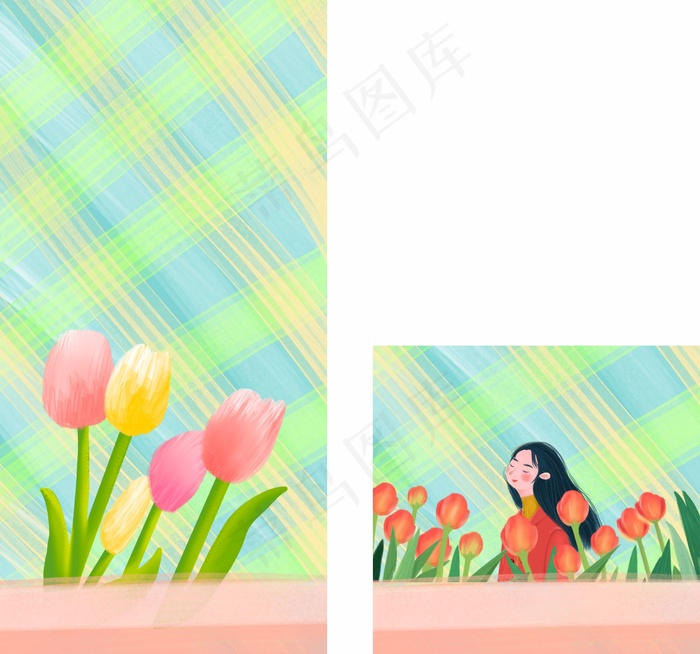 郁金香花图片